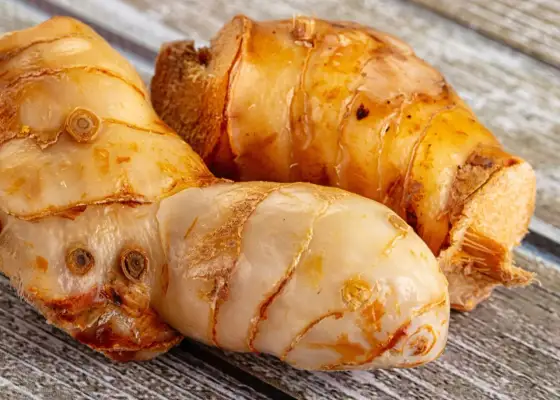 Galangal – co to jest? Różnice z imbirem i zastosowania w kuchni