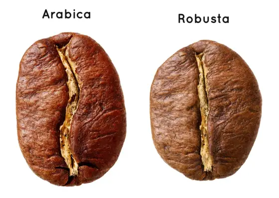 Arabica czy Robusta - Która kawa jest dla Ciebie?